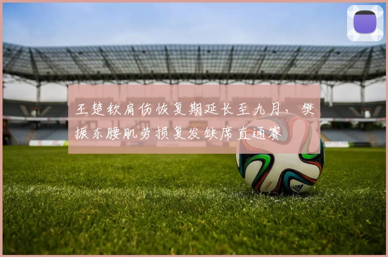 王楚钦肩伤恢复期延长至九月，樊振东腰肌劳损复发缺席直通赛